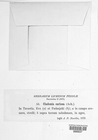 Image Associated With the Occurence